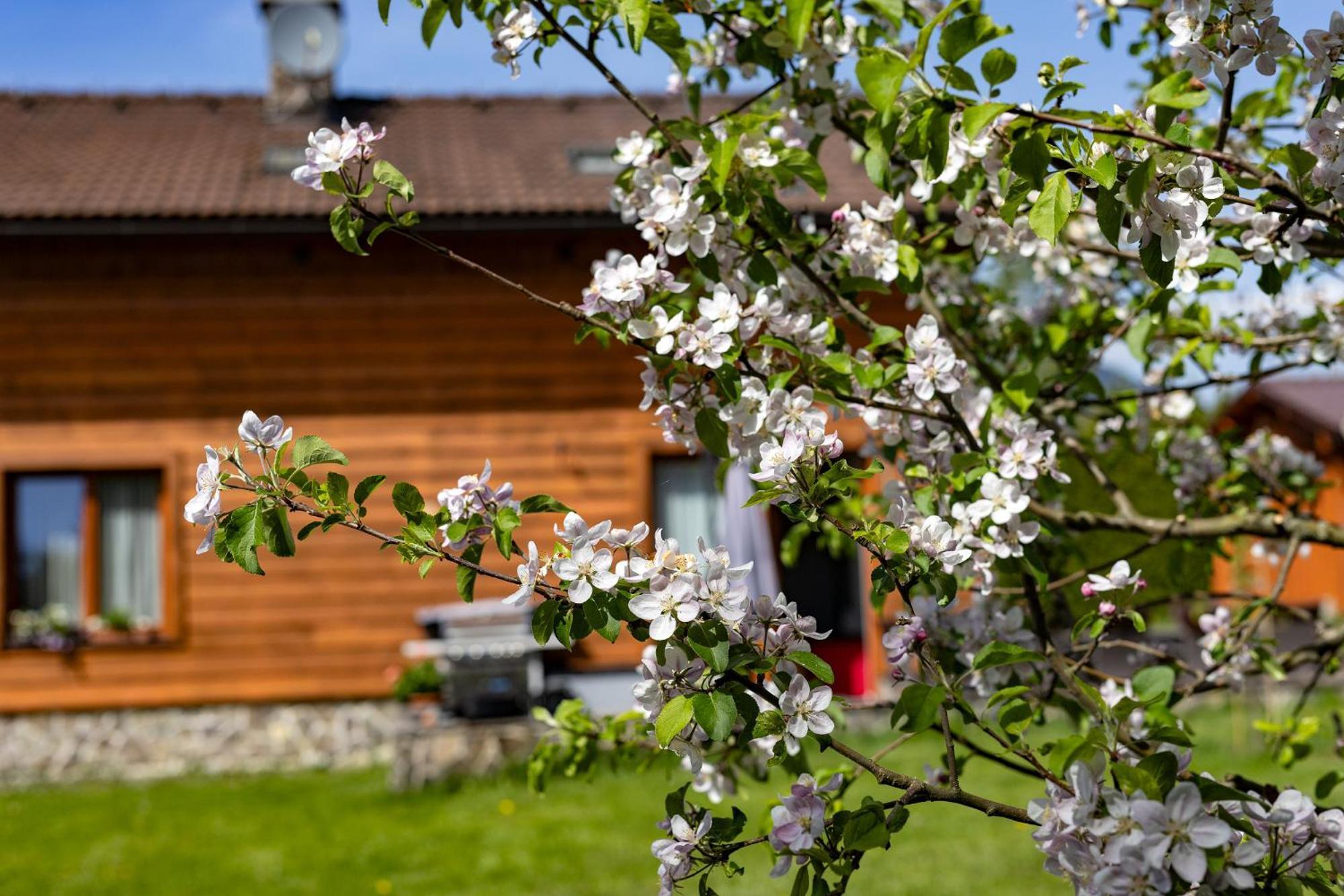 Apartmany Anicka Ubytovanie Region Liptovsky Mikulas Liptovske Matiasovce Экстерьер фото