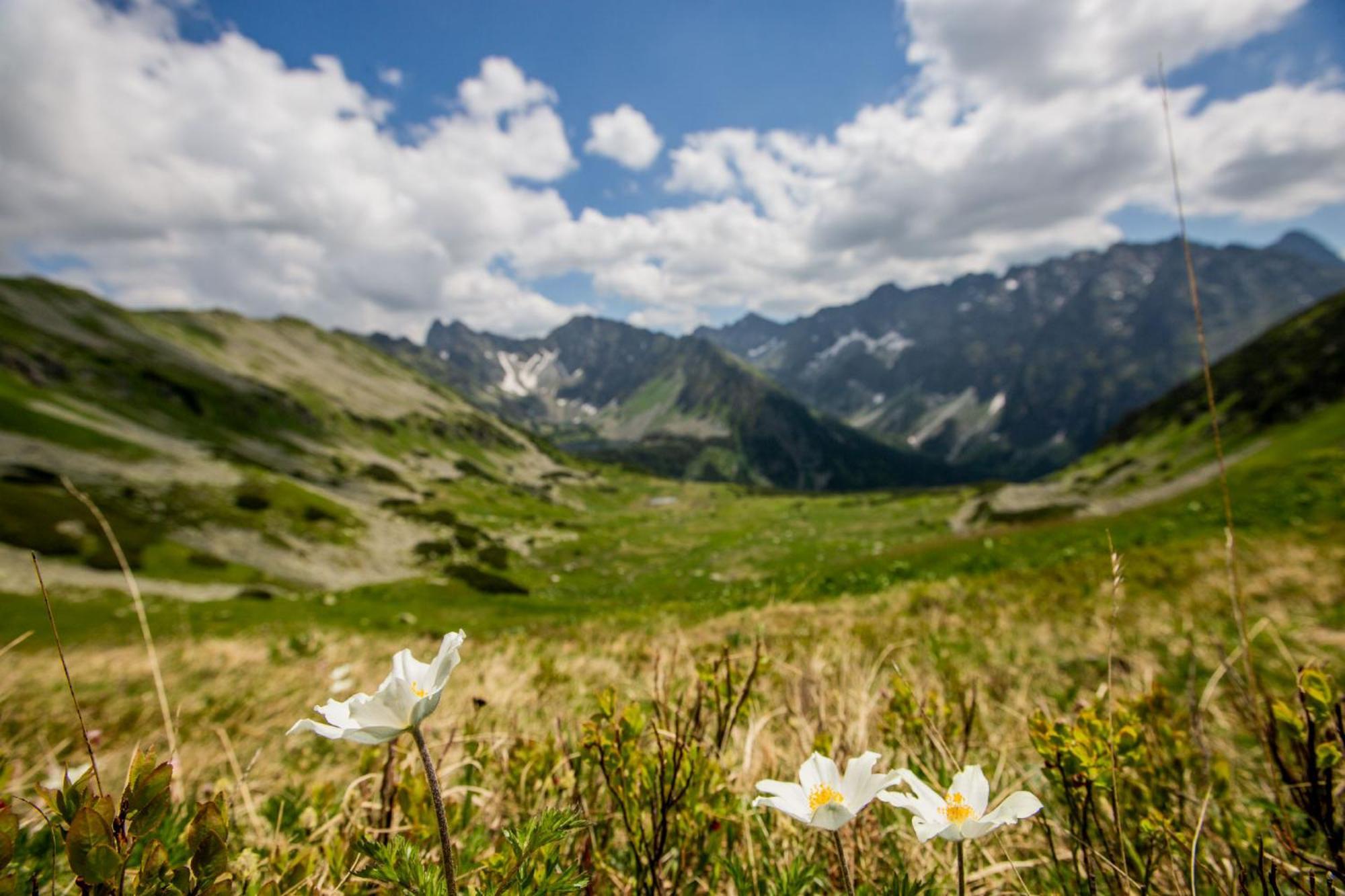 Apartmany Anicka Ubytovanie Region Liptovsky Mikulas Liptovske Matiasovce Экстерьер фото
