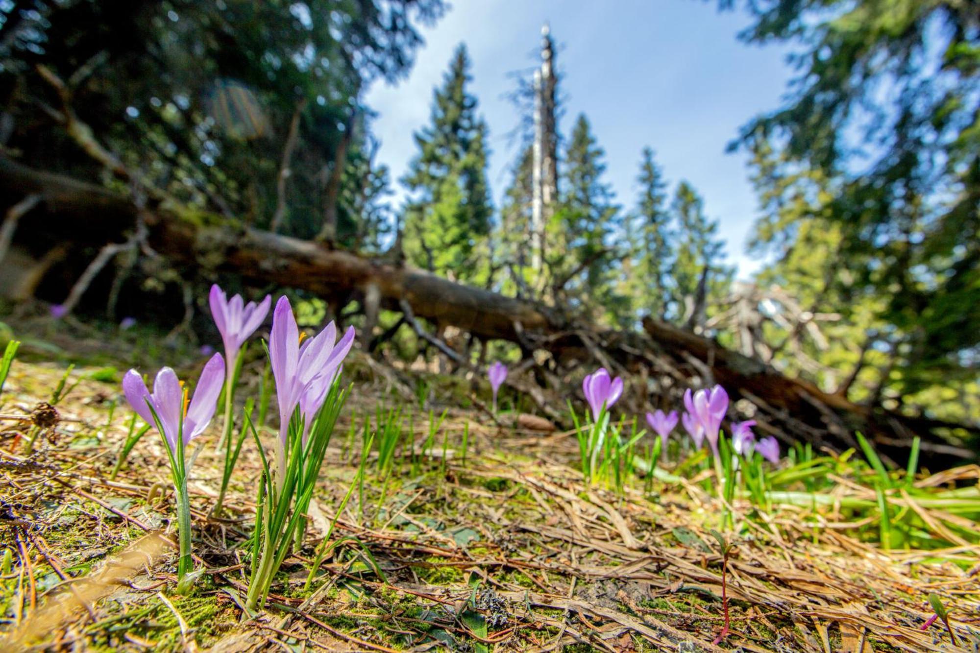 Apartmany Anicka Ubytovanie Region Liptovsky Mikulas Liptovske Matiasovce Экстерьер фото