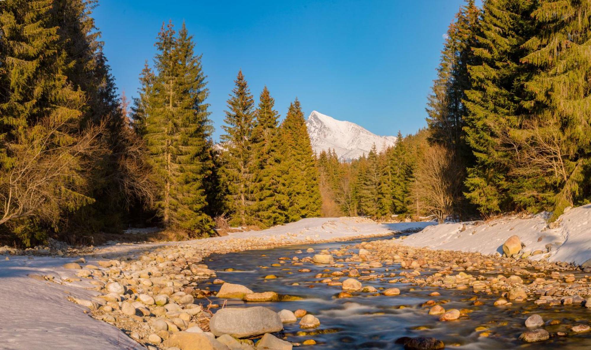 Apartmany Anicka Ubytovanie Region Liptovsky Mikulas Liptovske Matiasovce Экстерьер фото